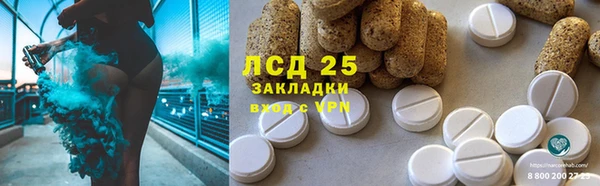 ГАЛЛЮЦИНОГЕННЫЕ ГРИБЫ Аркадак