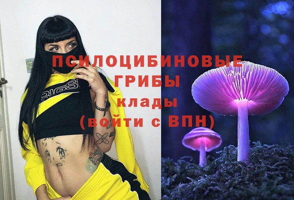 метадон Арсеньев