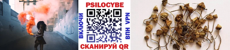 Купить  Сухой Лог  Галлюциногенные грибы ЛСД 